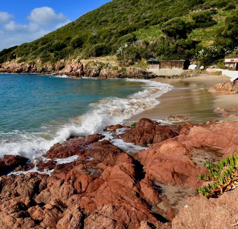 Tres Bel Appartement Les Pieds Dans L'Eau Appietto Kültér fotó